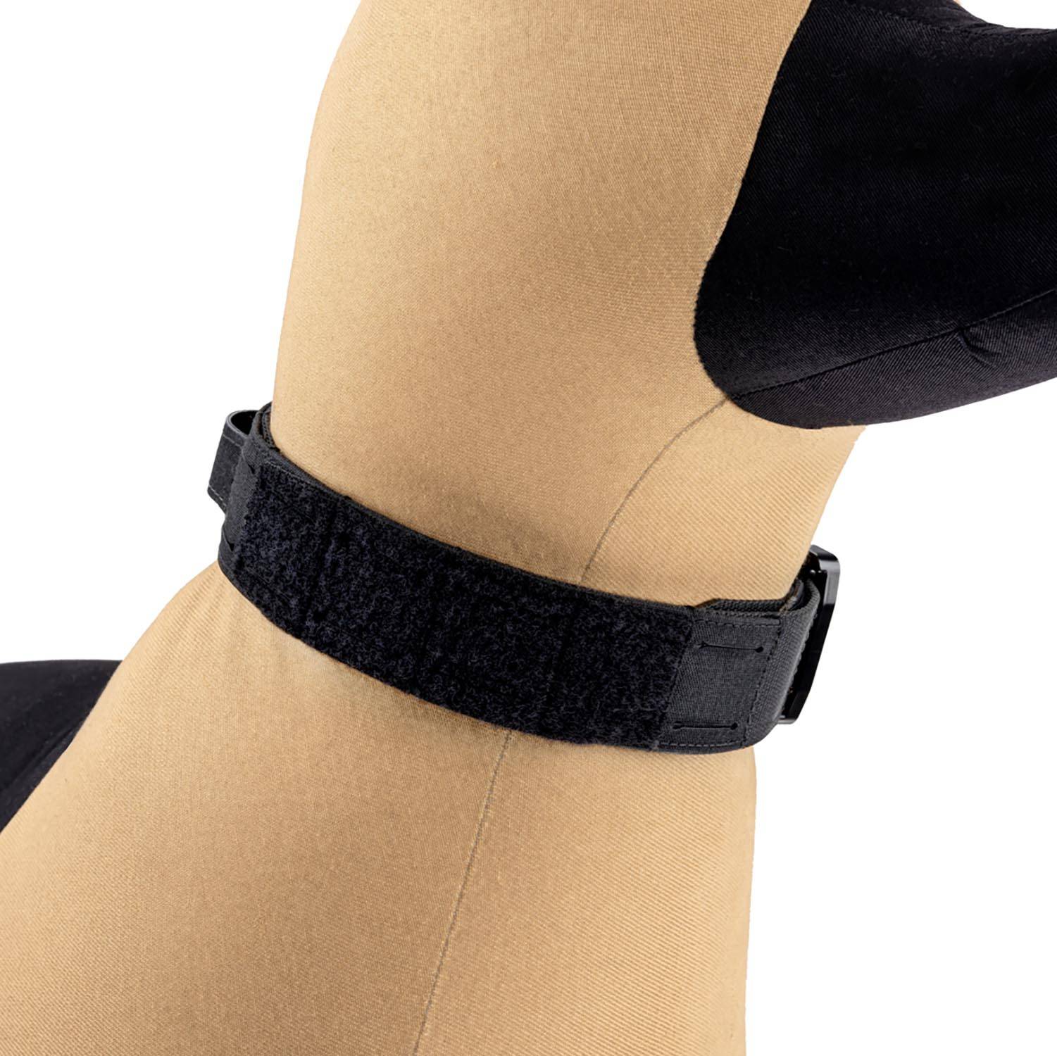 RAPTOR TACTICAL ODIN K9 COLLAR